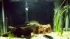 100_2128.JPG 100_2128.JPG