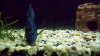 100_2216.JPG 100_2216.JPG