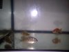 DSC00788.jpg