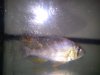 DSC00789.jpg