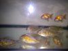 DSC00790.jpg