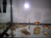 DSC00792.jpg