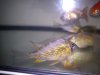 DSC00793.jpg