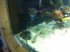 IMG_2442_resize.JPG