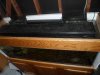 fish tanks 2012 024.jpg