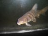 july 2012 291.jpg july 2012 291.jpg