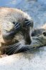 thumbnailCAW4E58R.jpg