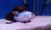 20120729_020047.jpg