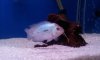 20120729_020819.jpg