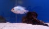 20120729_020938.jpg