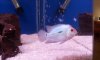 20120729_021009.jpg