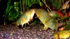 DSC06276b.jpg