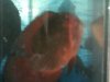 camera 2012 136.JPG