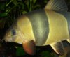 DSC02229&#1090;.jpg
