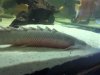 IMG-20120731-00031.jpg