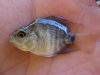 DSC05820.JPG