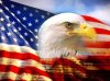 usa.jpg