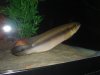 DSC01312.JPG