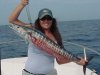 wahoo_001.jpg