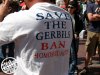 gerbil.jpg