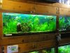 world of fish 015.JPG