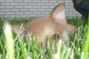 DSCF0023.JPG