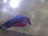20120810_195954.jpg