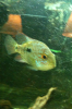 IMG_5513.png IMG_5513.png