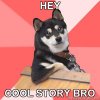 Cool_Dog_Hey_Cool_story_bro41-s400x400-96811.jpg
