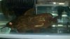 2012-08-15_14-45-30_913.jpg