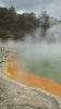 champagne pool.gif