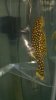 2012-08-17_14-00-27_698.jpg