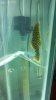 2012-08-17_14-01-35_458.jpg