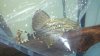 2012-08-17_23-17-26_181.jpg