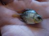 DSC05857.JPG