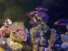100_3283.JPG
