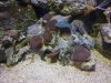 100_3284.JPG