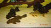 DSC04673.JPG DSC04673.JPG