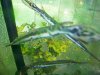 2012-08-30 Aug 30th, 2012 009.JPG