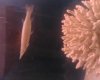 IMG00129.JPG IMG00129.JPG
