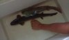 IMAG0837.jpg