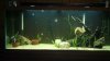 2012-08-21_20-43-45_531.jpg