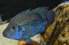 DSC_0126.JPG