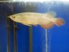 20120823_235523.jpg