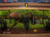 Cichlids007.jpg
