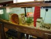 joel's fish pics 12-06 022 (2) (2).jpg