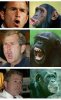 bush_monkey.jpg