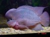 med_gallery_3145_11_996960.jpg