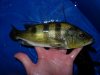 DSCN4642.JPG