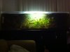 new tank 1.JPG